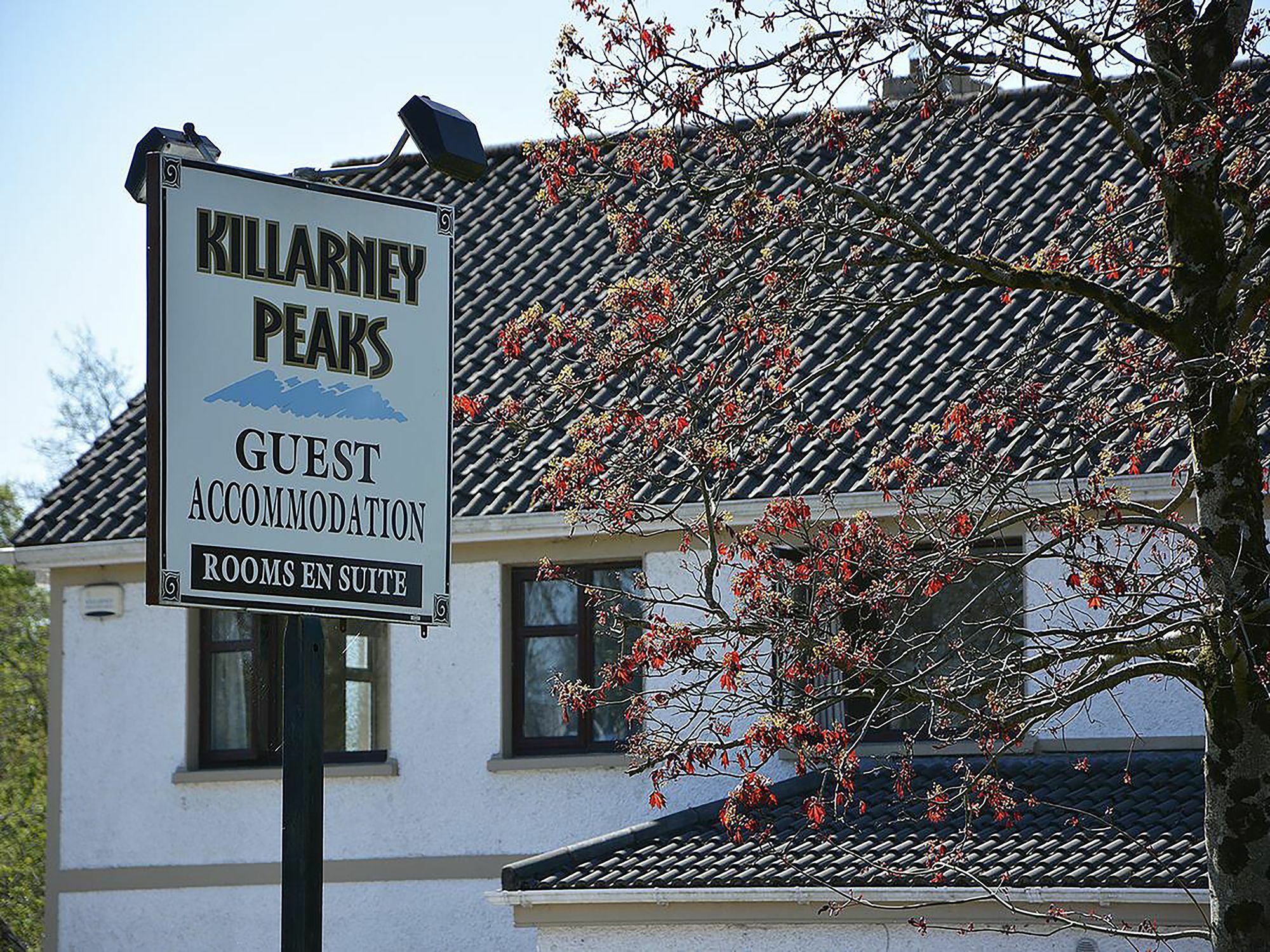 Killarney Peaks Guesthouse Εξωτερικό φωτογραφία